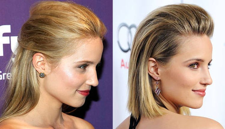 Photo of Dianna Agron Before And After Rhinoplasty 