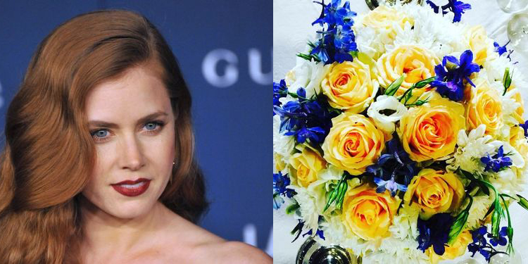 Image of Amy Adams who suffers from allergy