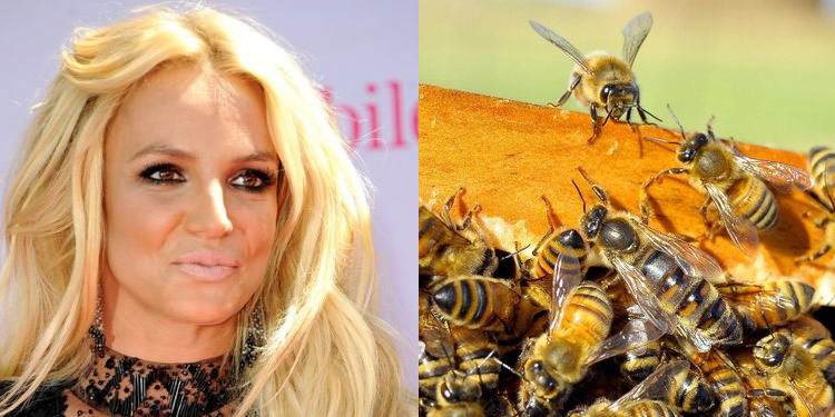 Image of Britney Spears who suffers from allergy