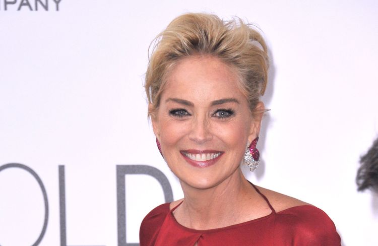 Photo of Sharon Stone looking youthful