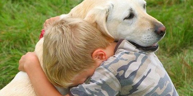 image of a boy with his dog