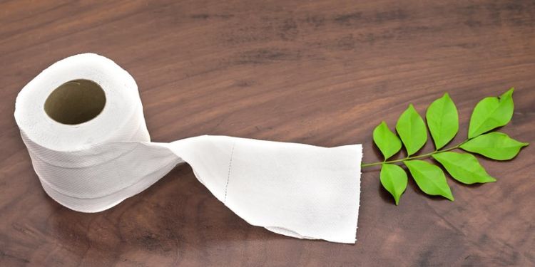 Image of shocking hygiene practice: leaves instead of toilet paper