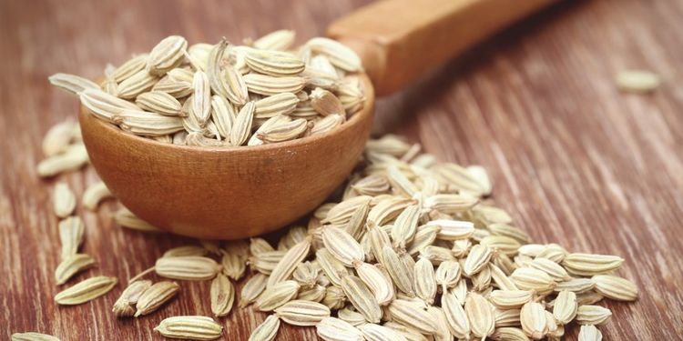 Image of FENNEL SEEDS, food that makes you more desirable