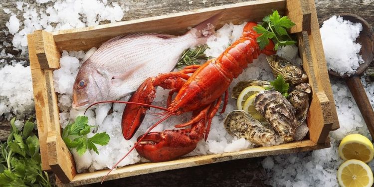 Image of LOBSTER, food that makes you more desirable