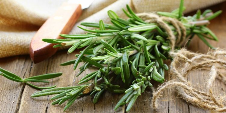 Image of ROSEMARY, food that makes you more desirable