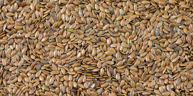 Photo of flax seed