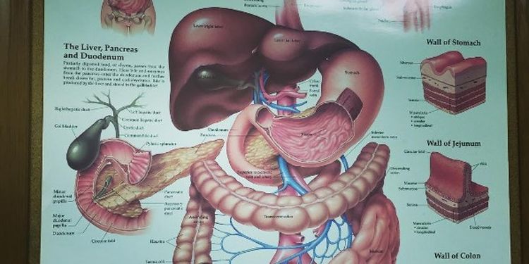 Image of gastroenterology poster