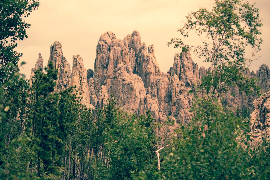 Black Hills National Forest