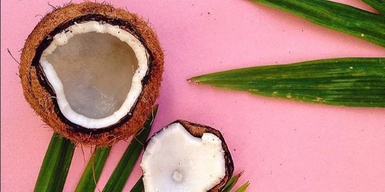 Image of Coconuts to heal your leaky gut