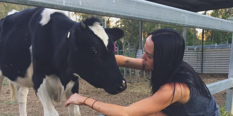 Image of a girl and a cow