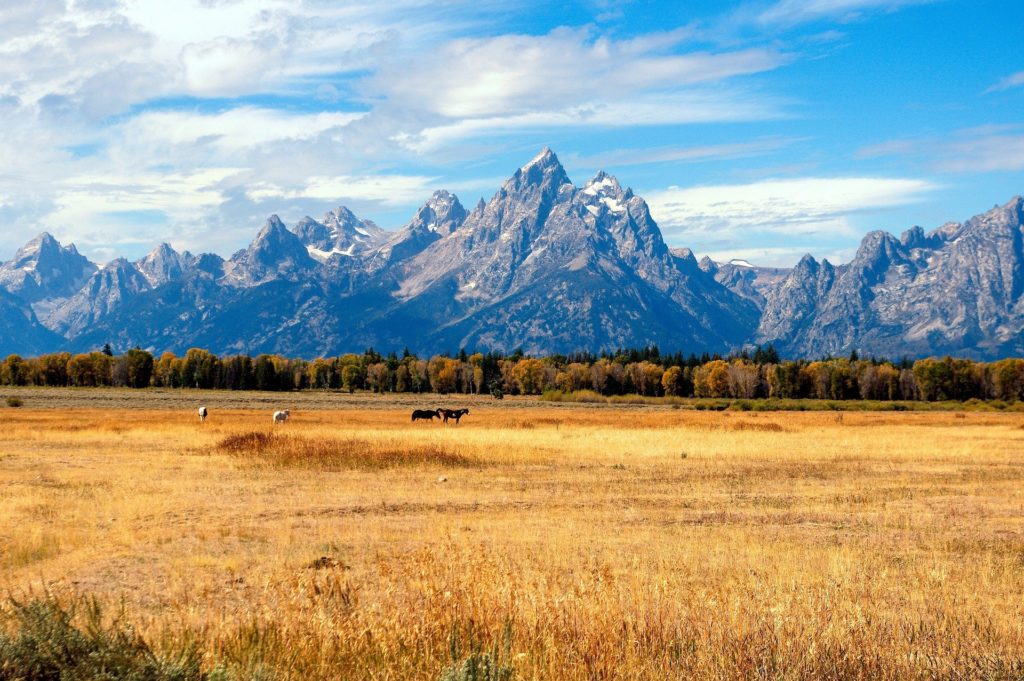 Grand Tetons