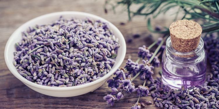 Image of LAVENDER OIL, food that makes you more desirable