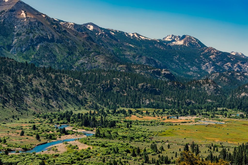 Sonora Pass