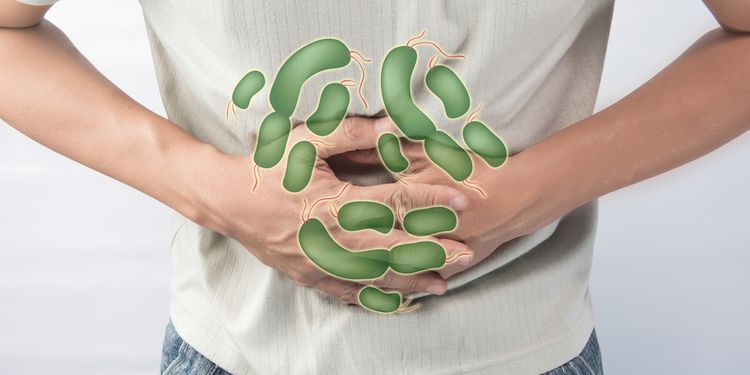 Illustration of pain gut caused by bacteria