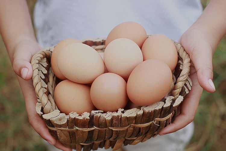 Photo of a Basket of Eggs