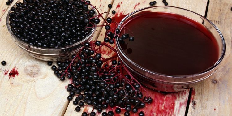 Photo of elderberry fruits herb on the table