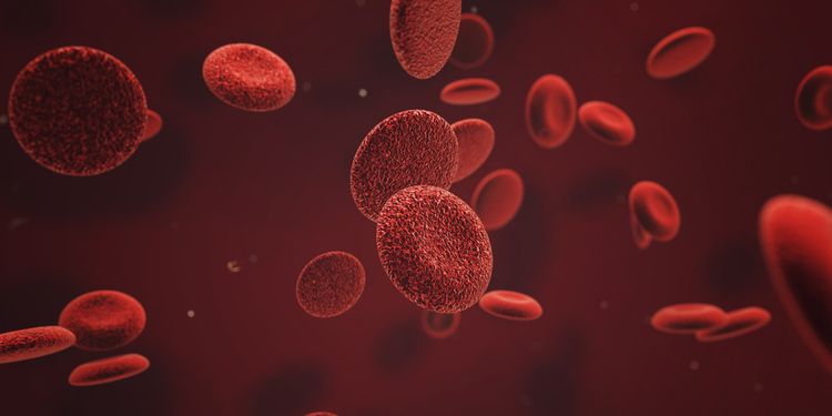 Image of red blood cells floating