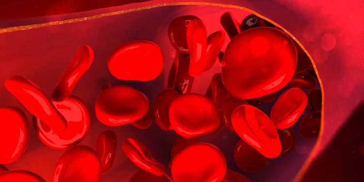 Red Blood Cells 3D illustration