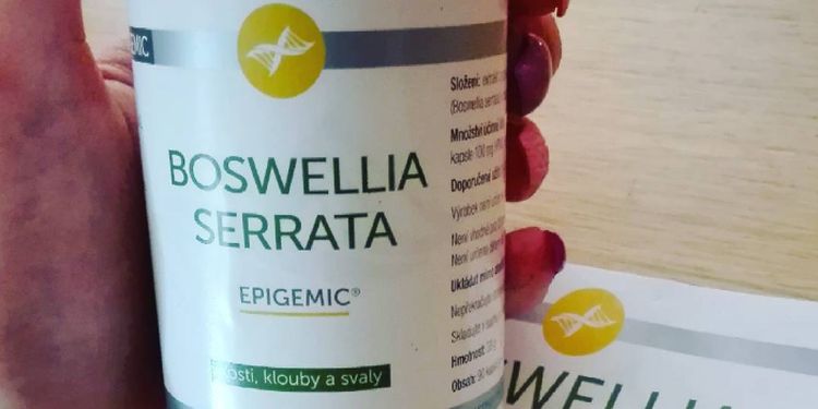 Boswellia Serrata Extract