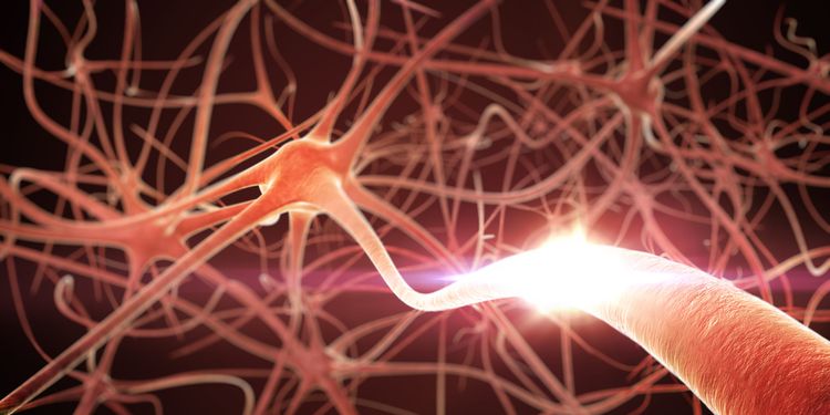 Illustration of a neurons transmitting an impulse