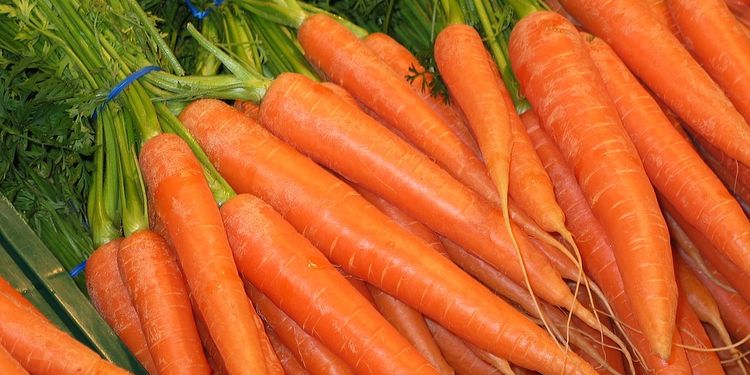 Photo of carrot sticks