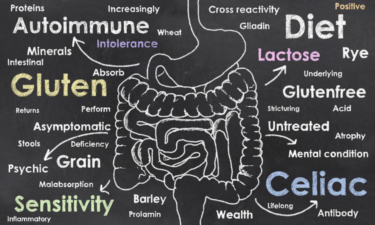 Illustration of Celiac Disease related keywords