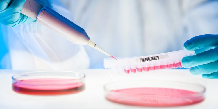 Photo of a lab technician doing serum testing with testing tubes