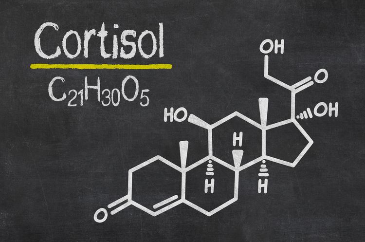 Illustration of chemical formula of cortisol