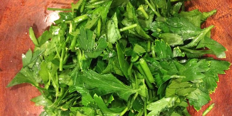 Photo close up of cut cilantro leaves