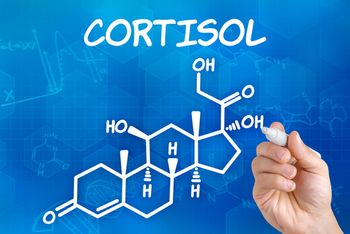 Illustration of cortisol hormone