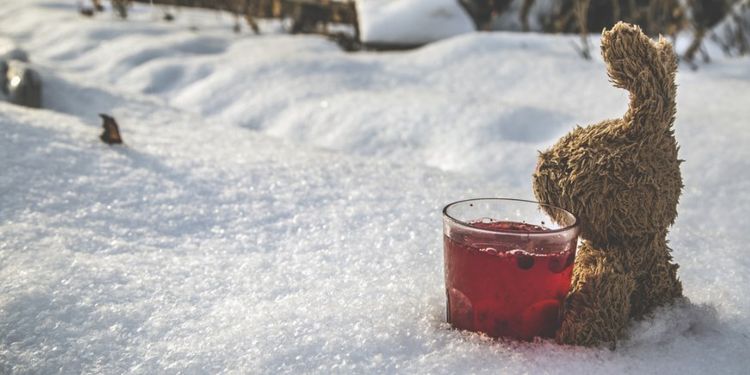 Image of a toy rabbit with a glass of cranberry juice