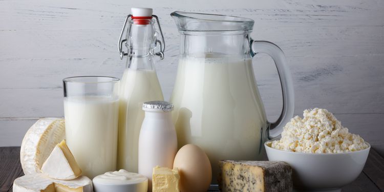 Photo of dairy products