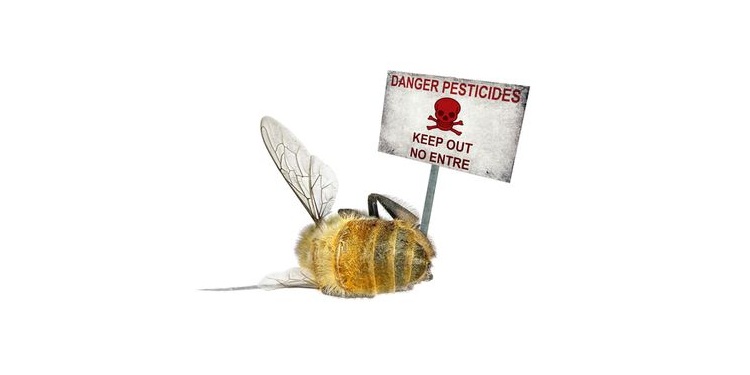 Illustration of a dead honey bee died from pesticides