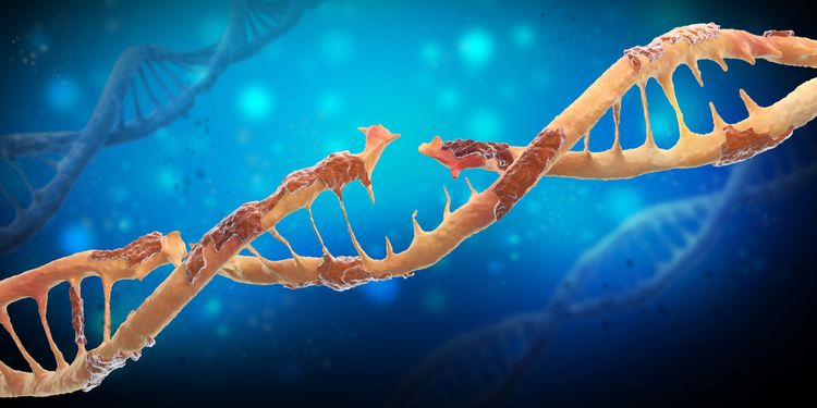 Illustration of a Damaged DNA chain