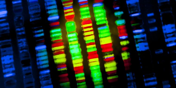 Illustration of a DNA sequencing