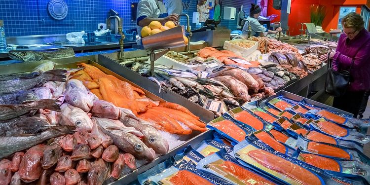 Photo of fish at fish market