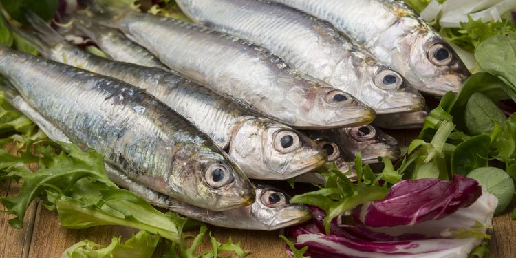 Photo of fresh sardines on plate with seasoning