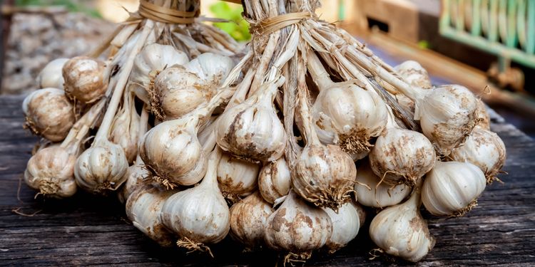 Photo of garlic stack in market