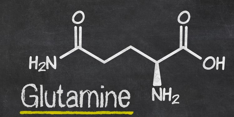 Molecular Formula Of Glutamine