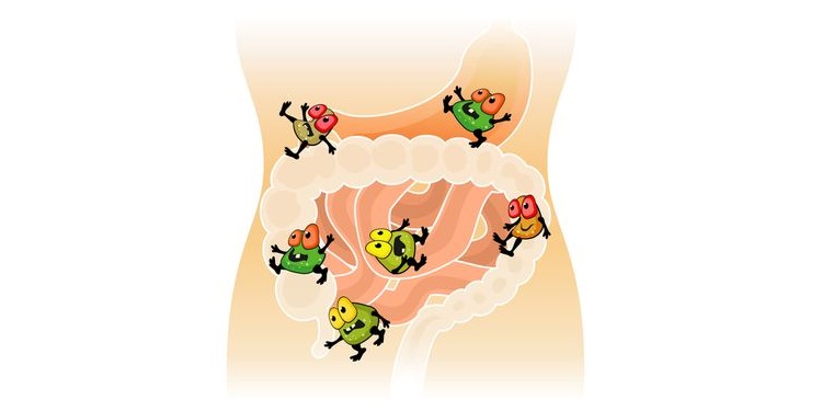 Illustration of cartoonish bacteria in the gut