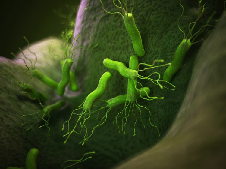 Bacteria In Your Body Are Integral Part Of Who You Are