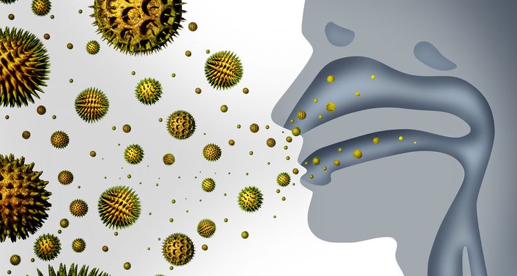 Illustration of human inhaling allergens