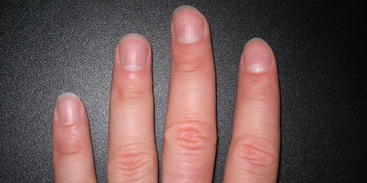 Photo of female hand spreading fingers showing nails