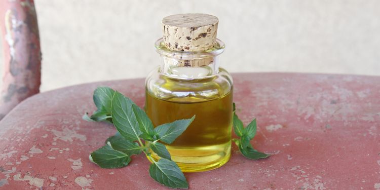 Photo of small bottle of homemade peppermint oil with herb leaves