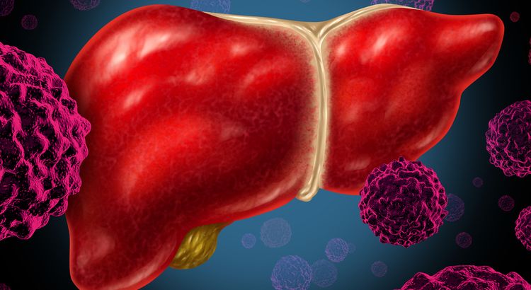 Image of human liver and pathogen particles attacking it