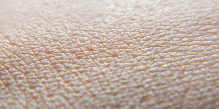 Human Skin Macro Photography