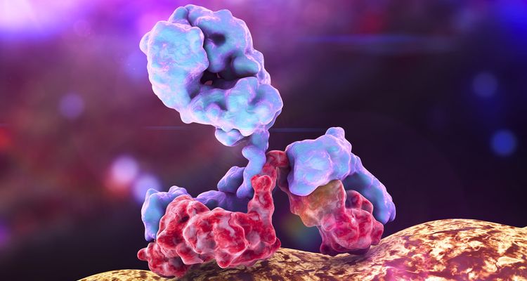 Photo of antibody attacking bacteria, 3D illustration in color