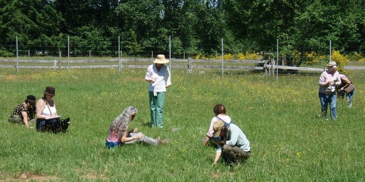 Photo of people collecting herbs on Innisfree farm meadows