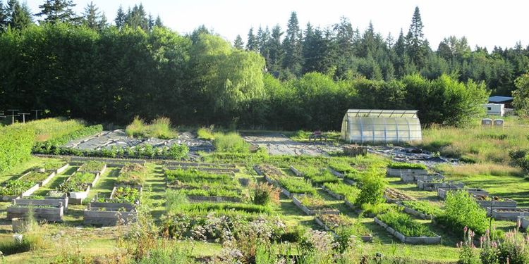 Photo of Innisfree farm garden with herbs