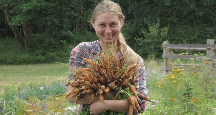 Photo of girl holding bunch of carrots on farm